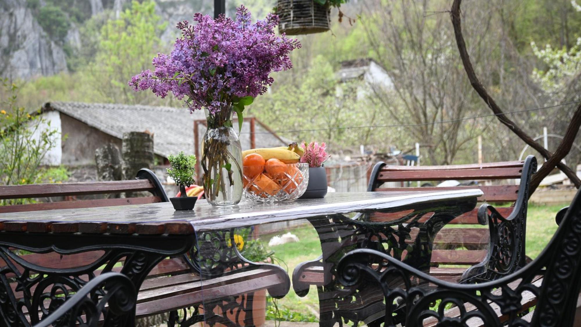 Canyon Matka - Unique Place For Stay Szkopje Kültér fotó